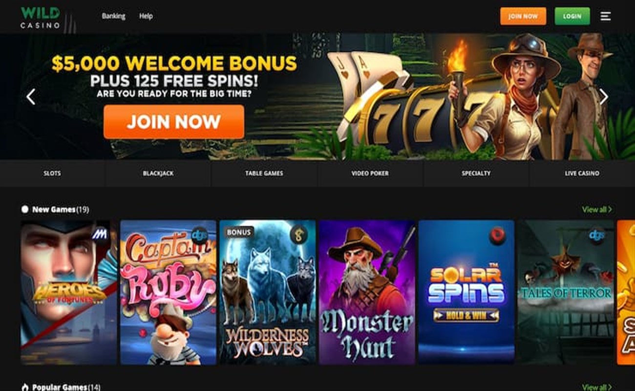 Wild Casino - $20 Min Deposits