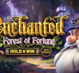 Enchanted: Forest of Fortune