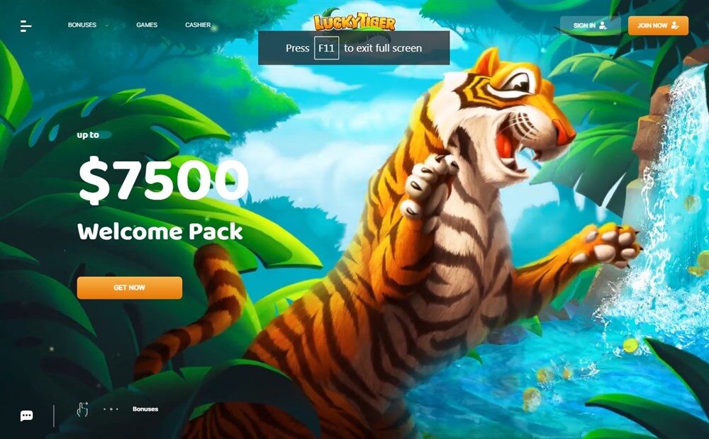 Lucky Tiger Casino Review