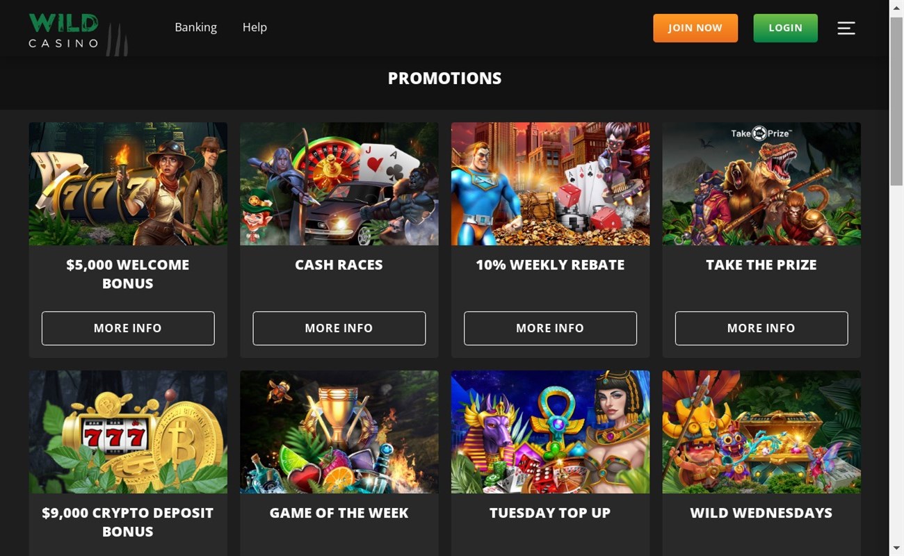 Wild casino - $5,000 Welcome Bonus + 125 Free Spins