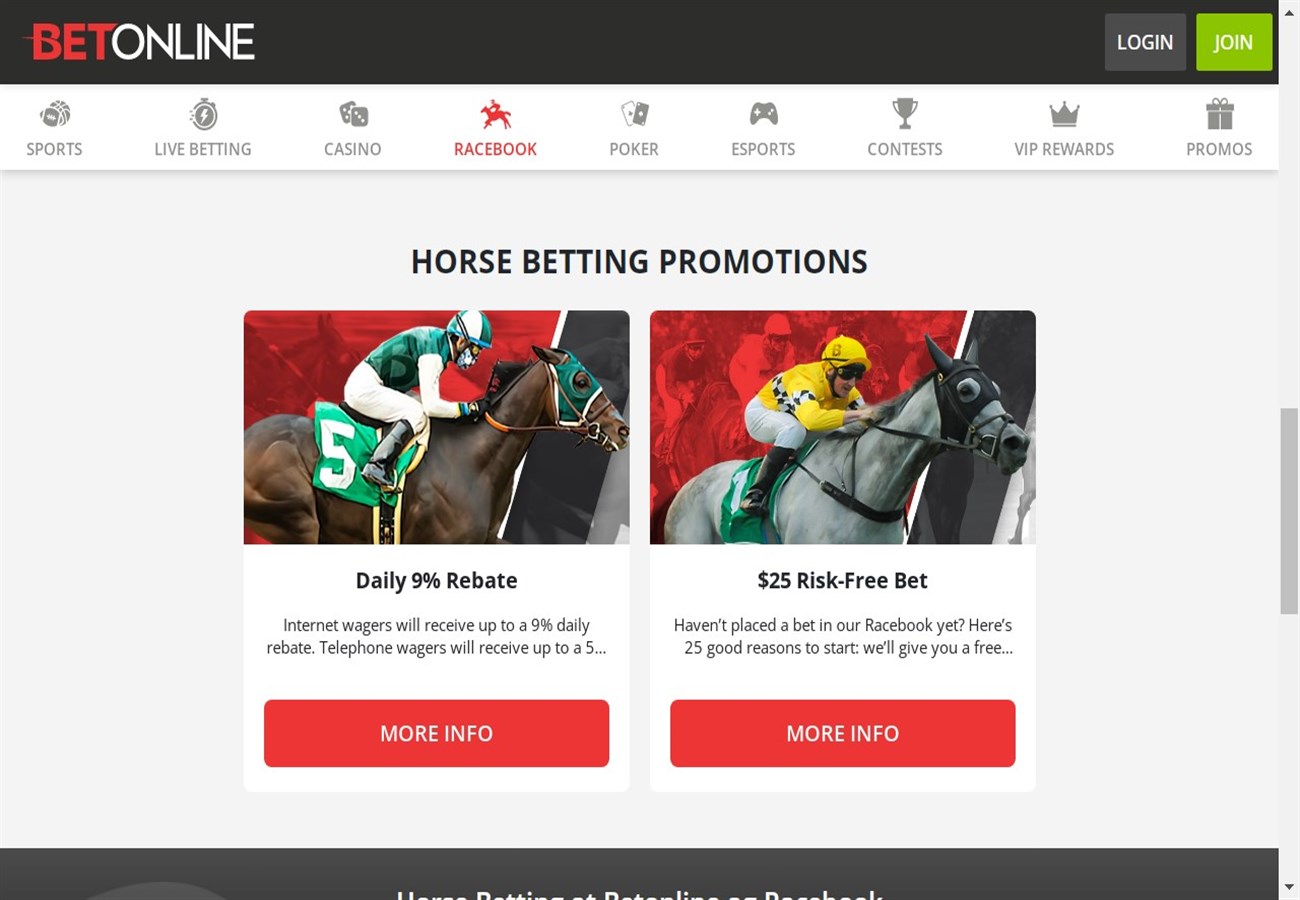 How to Bet on Horse Racing