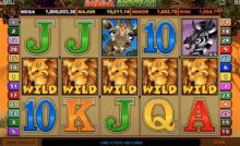Everything You Need to Know About Mega Moolah