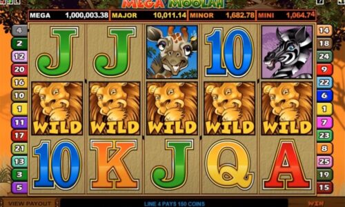 Everything You Need to Know About Mega Moolah