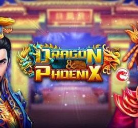 Dragon & Phoenix