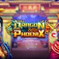 Dragon & Phoenix