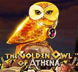 Golden Owl Of Athena