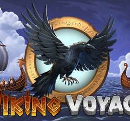 Viking Voyage