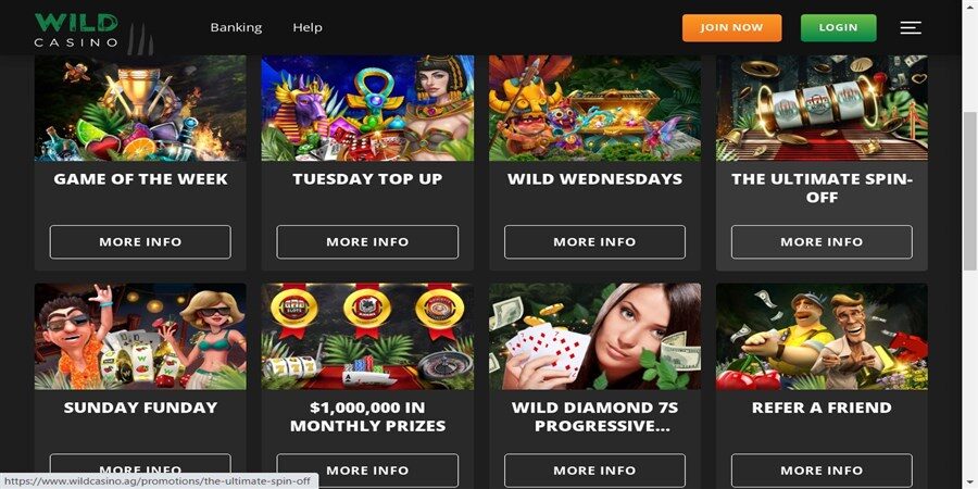 wild casino bonus