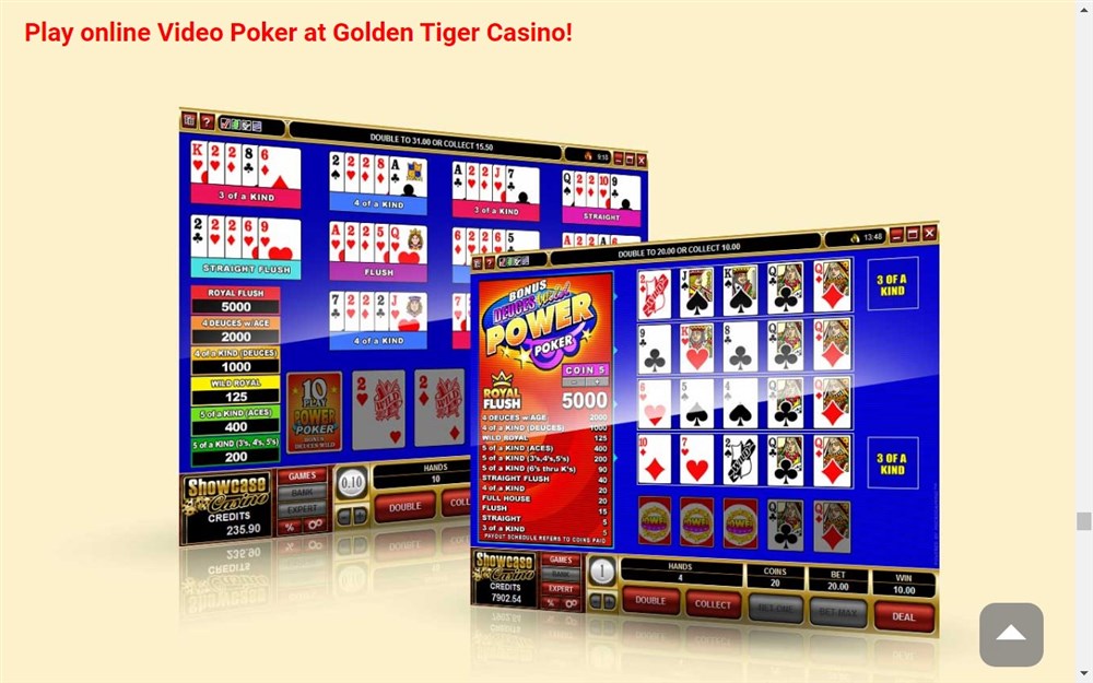 Golden Tiger Casino Review